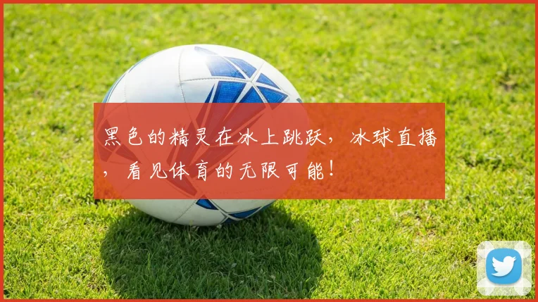 黑色的精灵在冰上跳跃，冰球直播，看见体育的无限可能！