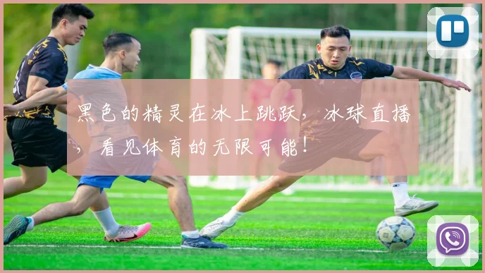 黑色的精灵在冰上跳跃,冰球直播,看见体育的无限可能!